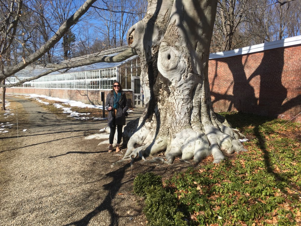 E915E739-7AF9-4F89-B82A-409C8A1A084B