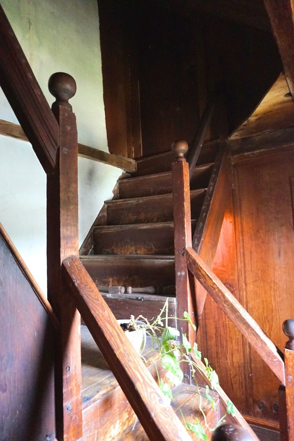 LRG_DSC04654- DL use